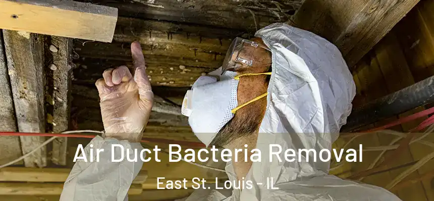  Air Duct Bacteria Removal East St. Louis - IL