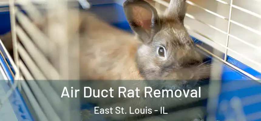  Air Duct Rat Removal East St. Louis - IL