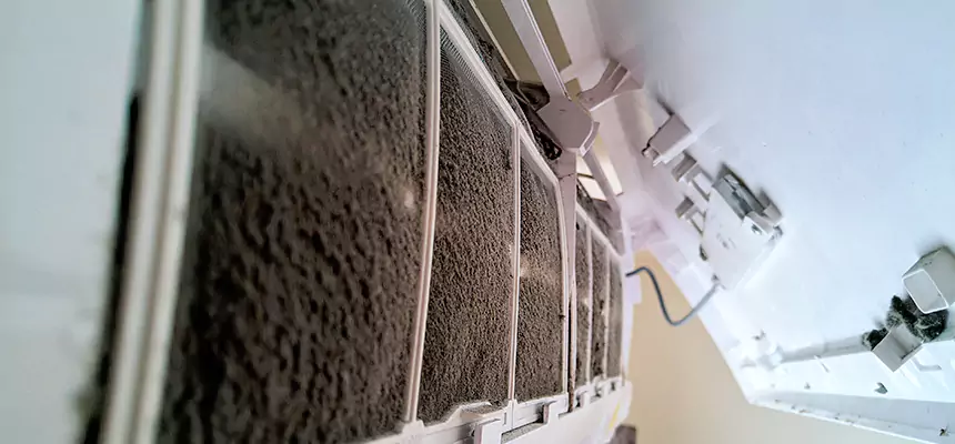 Preventive Air Duct Bacteria Removal in East St. Louis