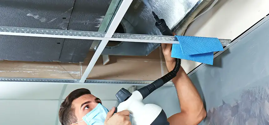 Our Air Duct Rodent Removal Services in East St. Louis, IL