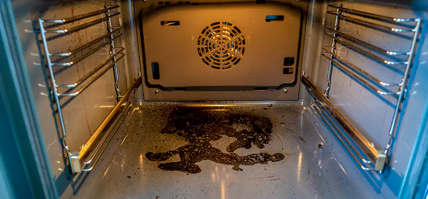 Our Dryer Vent Mold Cleaning Services in East St. Louis, IL