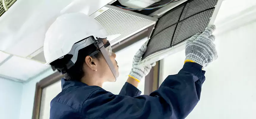 Our Mold & Mildew Removal from Air Ducts Services in East St. Louis, IL