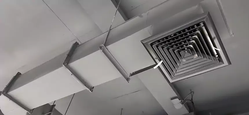 Our Pest Removal From Ducts Services in East St. Louis, IL