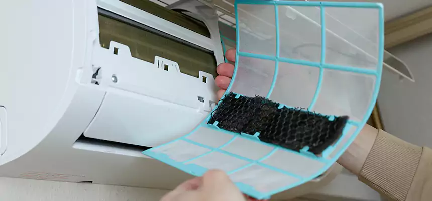 Gentle Ductwork Odor-Control Pet Dander Duct Cleaning in East St. Louis, IL