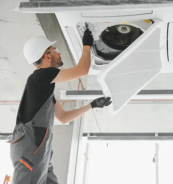 About Air Duct Rodent Removal in East St. Louis, IL