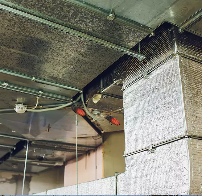 Why Homeowners & Businesses Trust Us East St. Louis, IL?